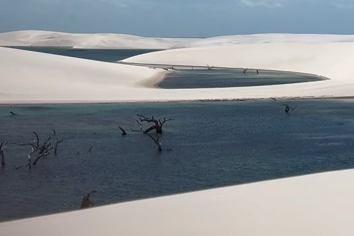Scenic view of white sand dunes with pools of water and submerged, bare trees under a blue sky, creating a surreal desert landscape.