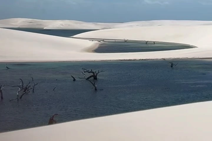Scenic view of white sand dunes with pools of water and submerged, bare trees under a blue sky, creating a surreal desert landscape.