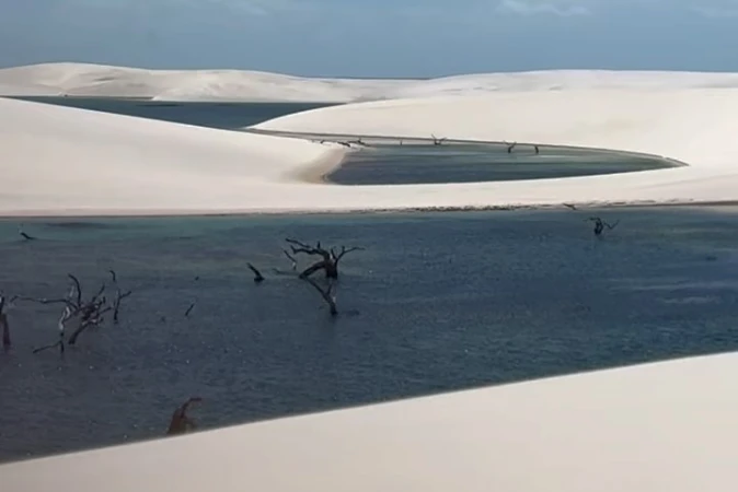 Scenic view of white sand dunes with pools of water and submerged, bare trees under a blue sky, creating a surreal desert landscape.