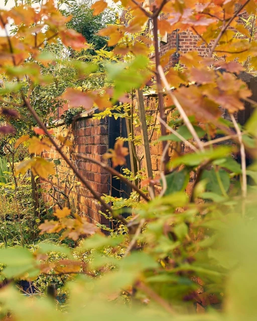 View of a brick wall behind green and orange foliage and small tree branches, creating a natural, textured composition on an overcast day.