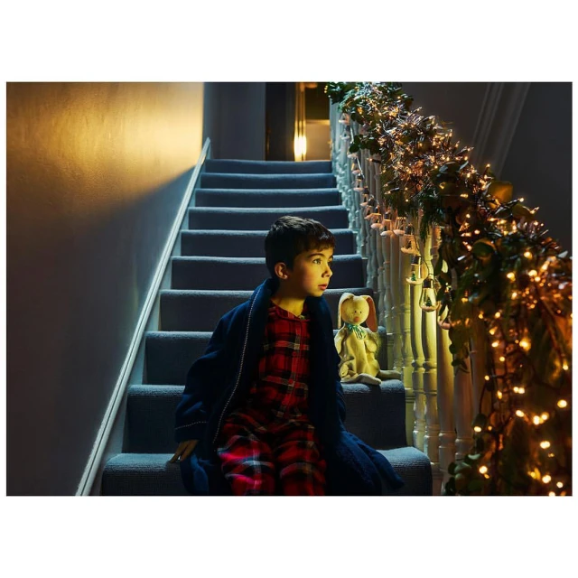 Boy in pajamas and robe sitting on stairs at night with a stuffed rabbit. Christmas garland hanging on the bannister.