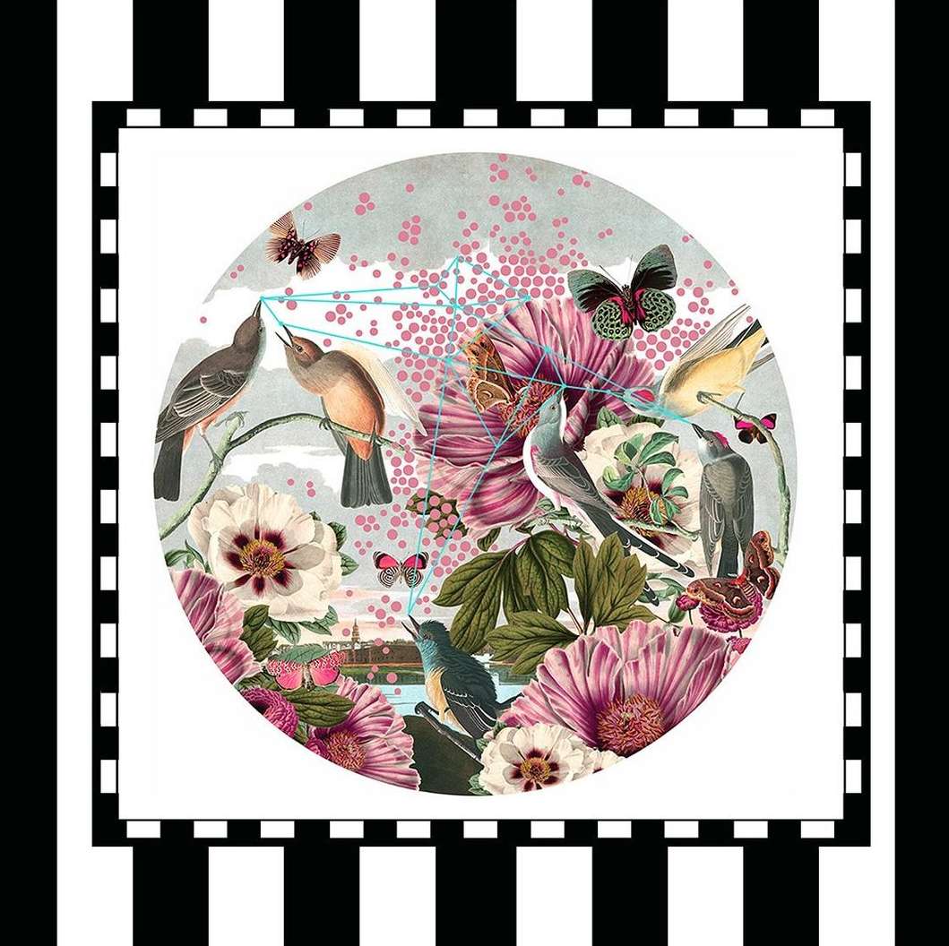 Artistic image featuring birds and butterflies among vibrant pink and white flowers against a pale, dotted backdrop, bordered by black and white stripes.