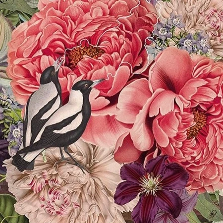 Alexandra Gallagher