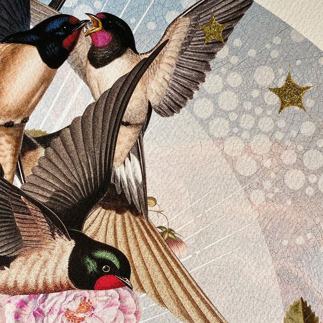 Illustration of a group of swallows perched on pink flowers with a textured background, rendered with illustration and painting techniques.