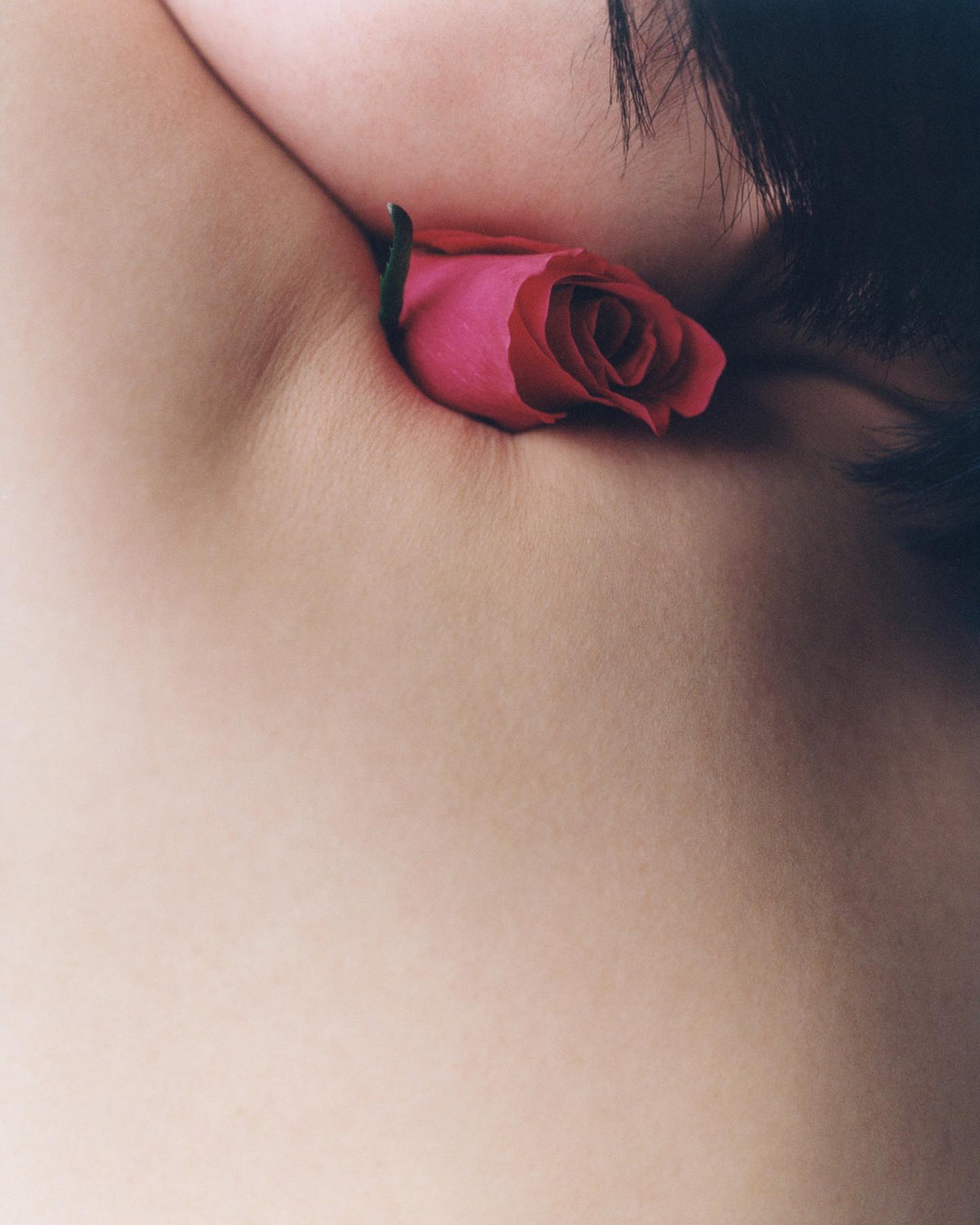 Close-up shot of a pink rose nestled in the neck and shoulder area of a woman with dark hair, creating a natural, sensual image.
