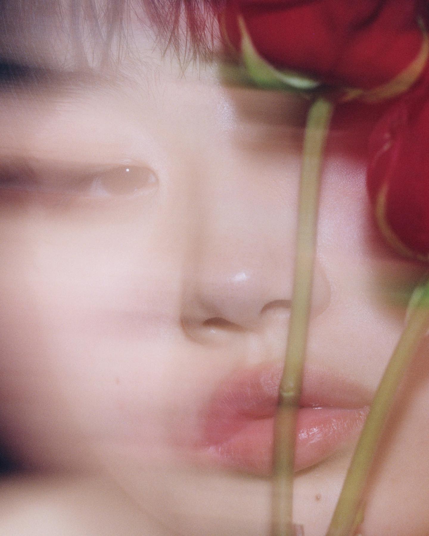 Close-up of a light-skinned young woman's face partially obscured by red roses, creating a dreamy, soft-focus, beauty shot.
