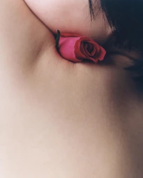 Close-up portrait of a pink rose tucked into skin, captured by photographer Alexandra Leese.