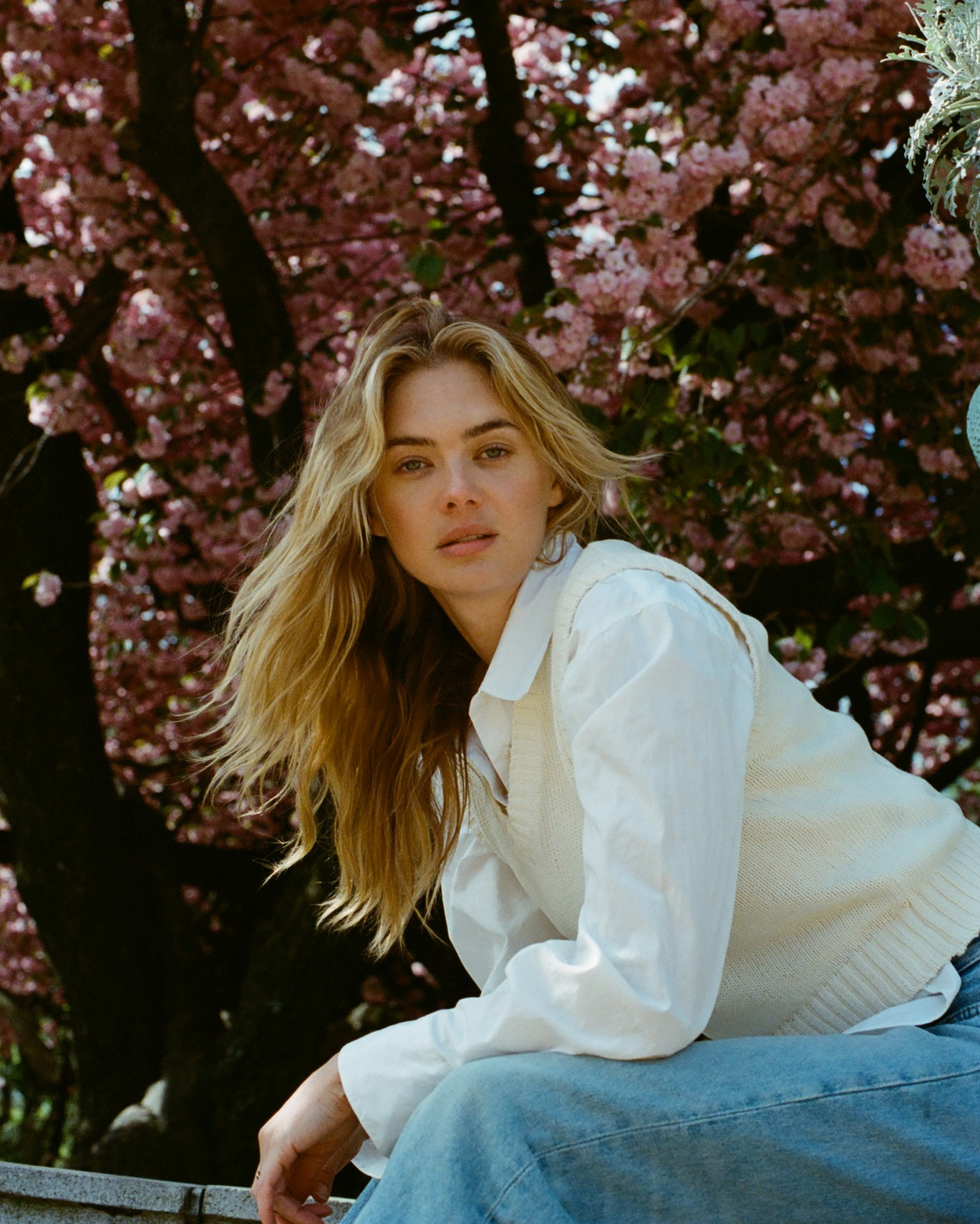 Portrait of a young woman with blonde hair sitting in front of a tree with pink blossoms, wearing a white shirt and blue jeans.