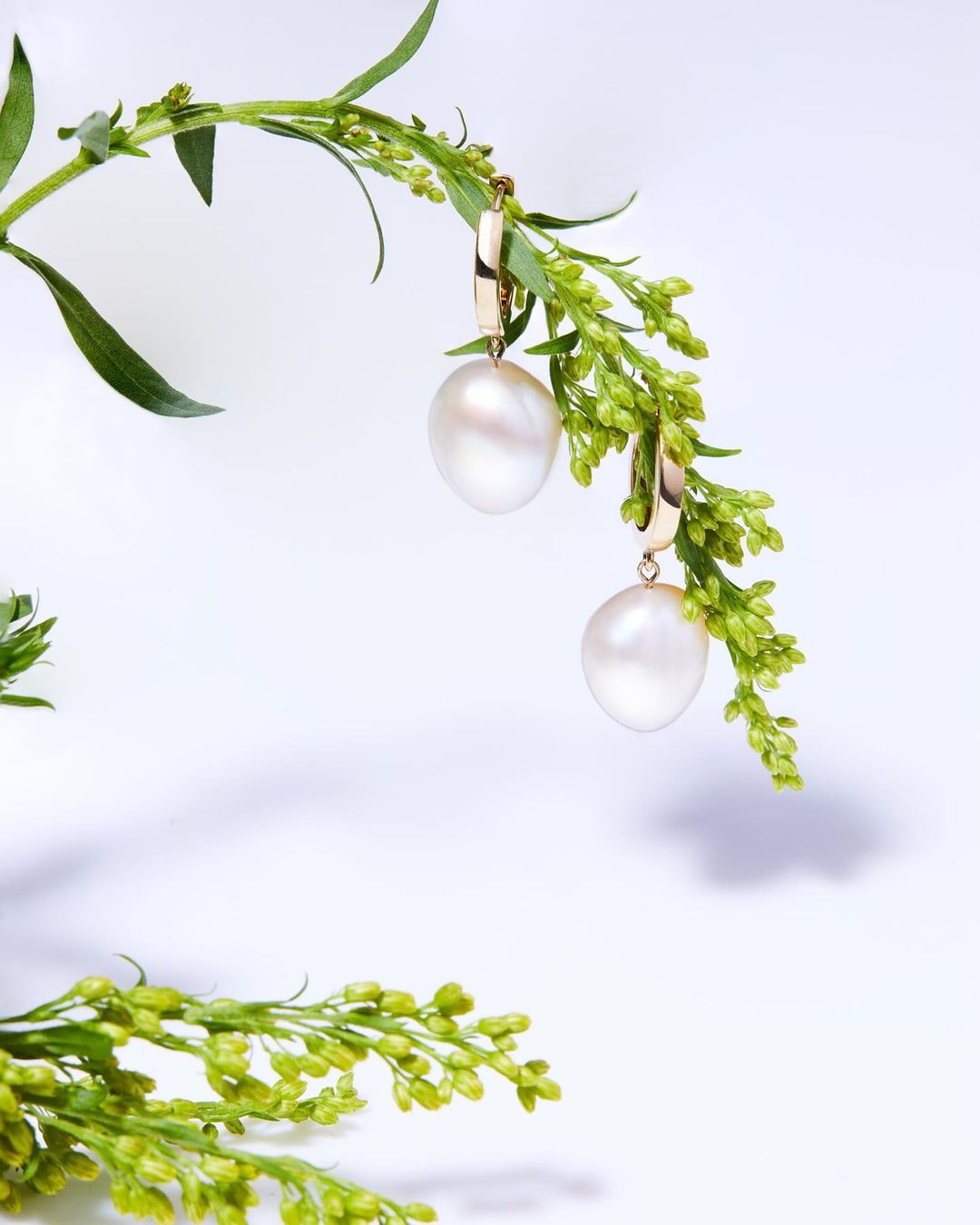 Pearl drop earrings with gold hoops are displayed on a green floral plant against a stark white background in a studio setting.