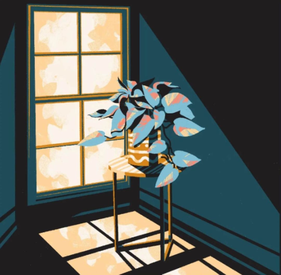 Illustration of an indoor corner scene with a window, a potted plant on a side table, and sunlight casting shadows on the floor.