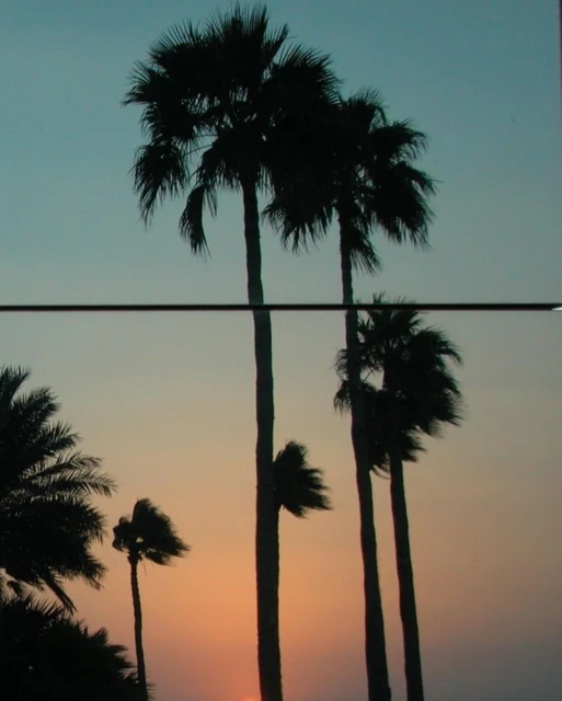 Silhouette of palm trees against a sunset sky with orange and blue hues, creating a serene tropical landscape at dusk.