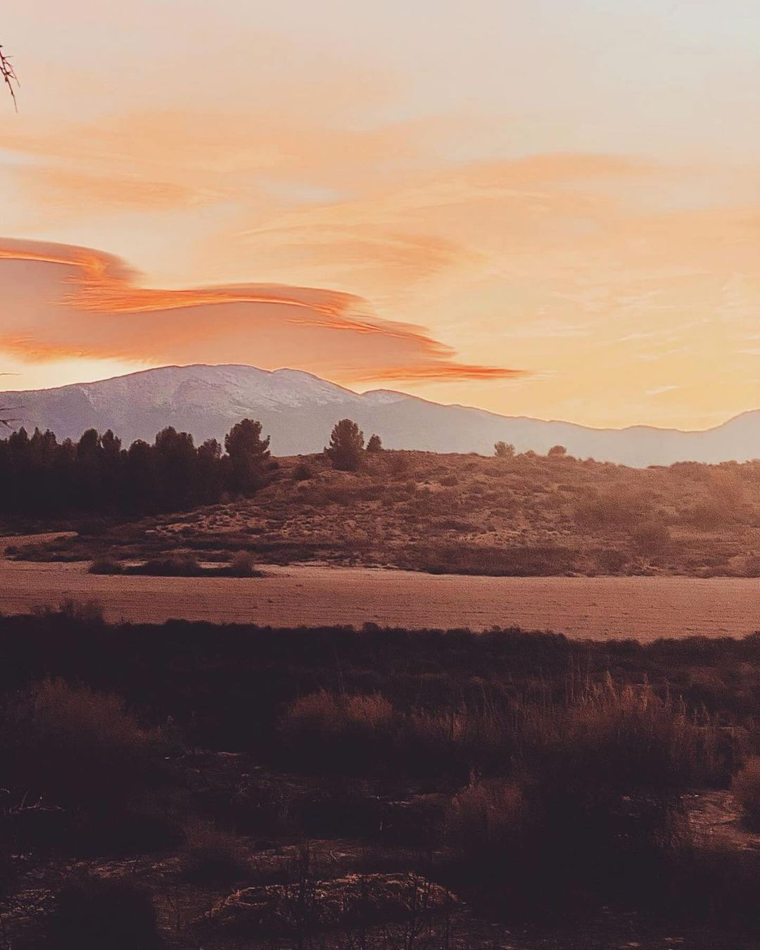 Scenic landscape view of a mountain range under a sunset sky with wispy clouds and silhouetted trees in the foreground.