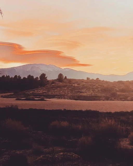 Scenic landscape view of a mountain range under a sunset sky with wispy clouds and silhouetted trees in the foreground.