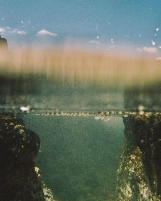 Underwater view of rocky formations and sea life, featuring a clear horizon line and blue sky, creating a serene marine scene.