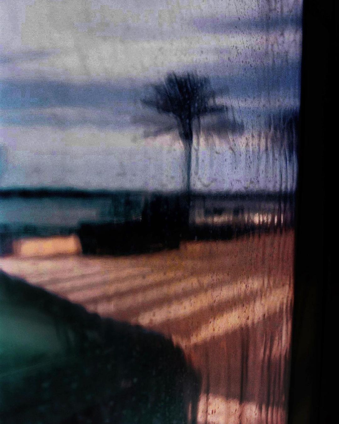 A tree is visible against a cloudy sky and body of water through a textured and patterned window.