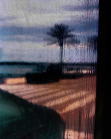 A tree is visible against a cloudy sky and body of water through a textured and patterned window.