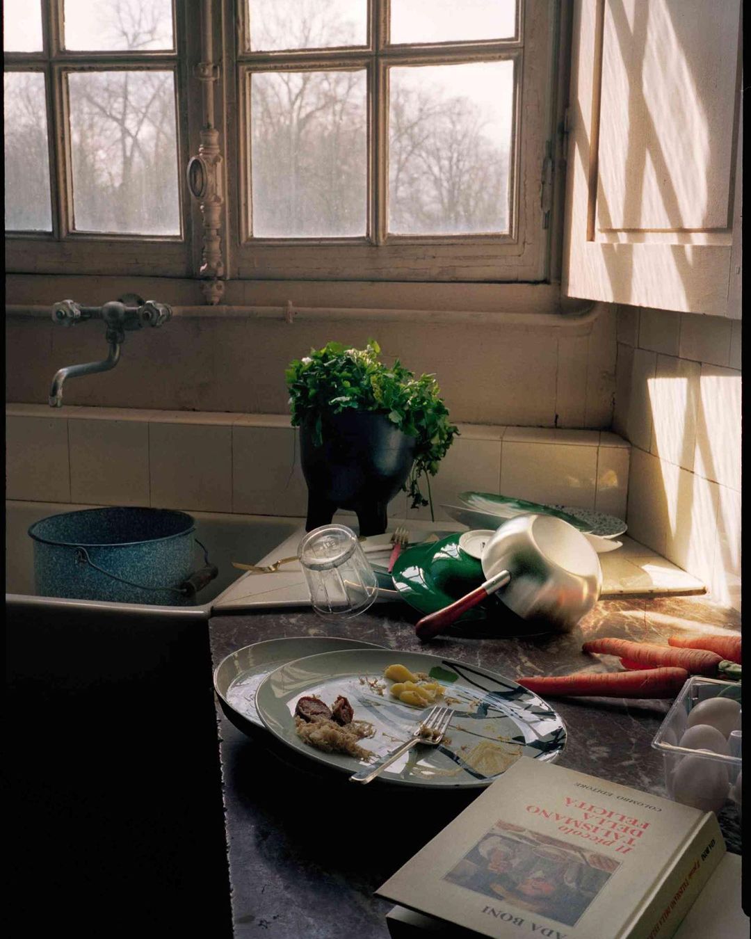 Still life photograph of a kitchen counter with dirty dishes, food remnants, a pot of herbs, carrots, and a cookbook near a window.