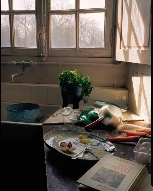 Still life photograph of a kitchen counter with dirty dishes, food remnants, a pot of herbs, carrots, and a cookbook near a window.