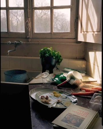 Still life photograph of a kitchen counter with dirty dishes, food remnants, a pot of herbs, carrots, and a cookbook near a window.