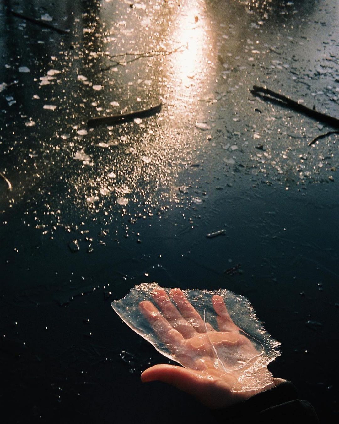 Close-up of a human hand holding a piece of transparent ice against a dark, frozen, and reflective background with patches of sunlight.