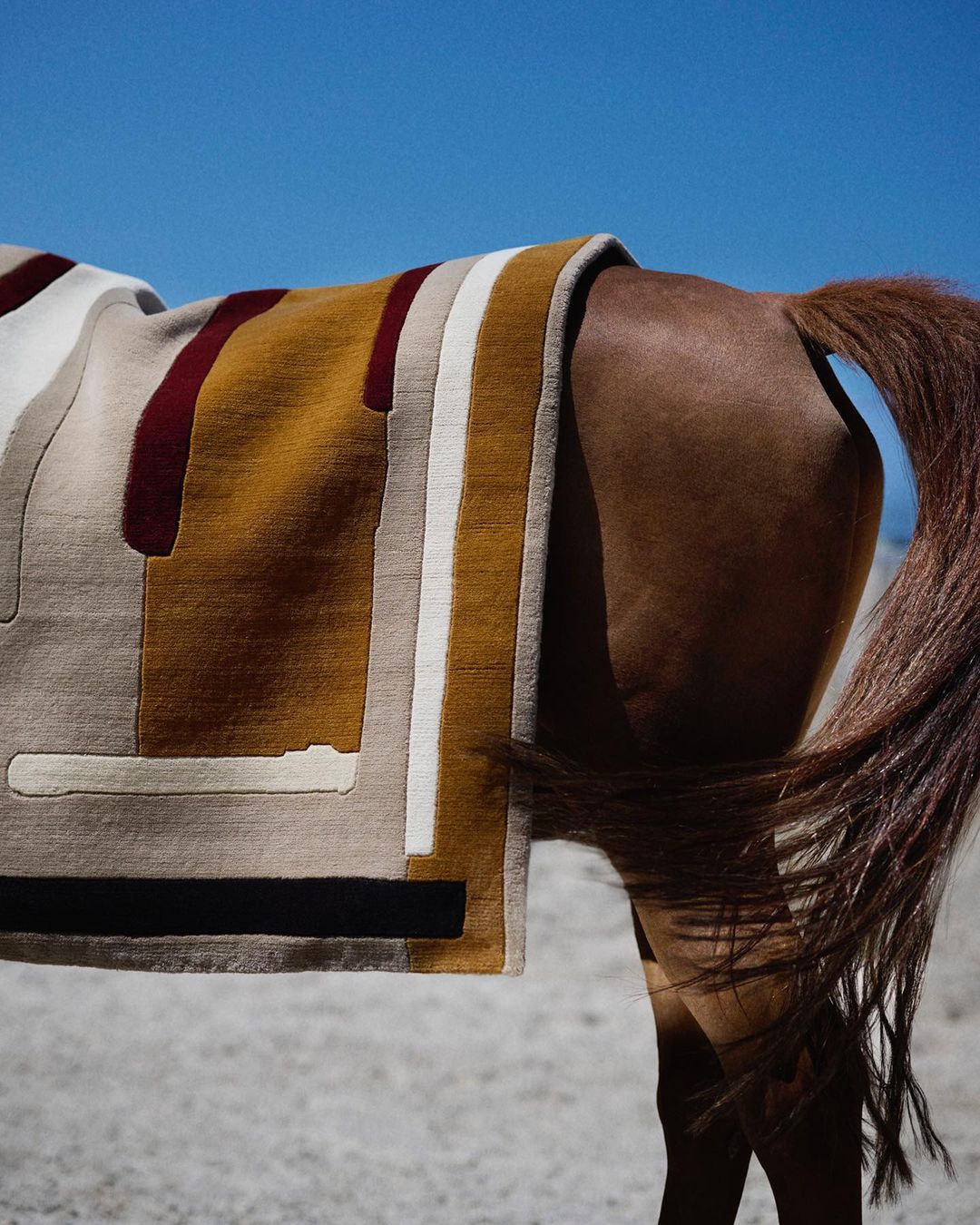 Close-up of a brown horse wearing a colorful striped saddle blanket outdoors under a clear blue sky, showcasing patterns and textures.