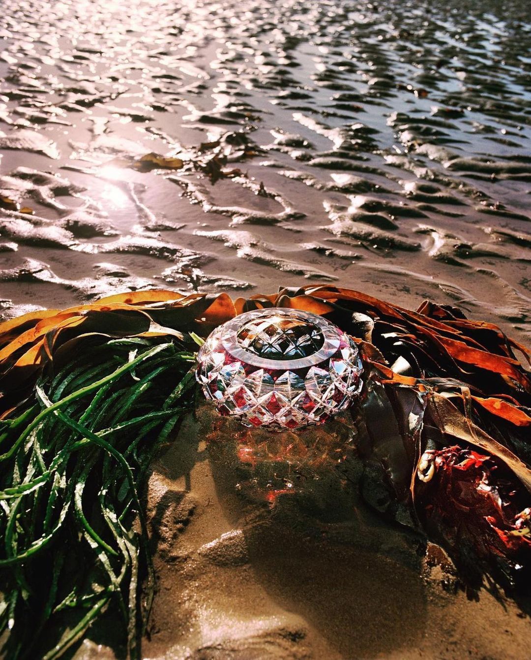 Crystal bowl surrounded by seaweed on a sandy beach, creating a textured contrast between the geometric bowl and the natural environment.