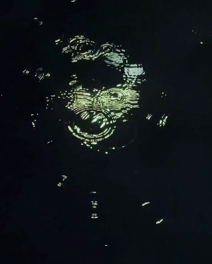 Abstract ripples on a dark liquid surface, illuminated by a bright, central light source creating concentric circular patterns.