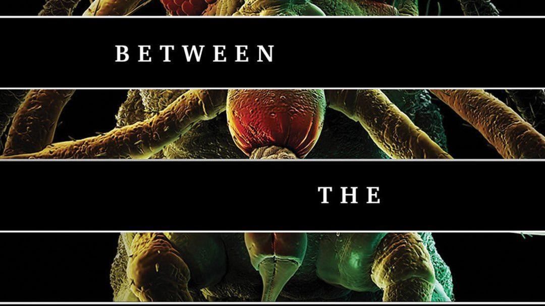 Microscopic view with layers of black bars creating division and text overlay that says, 'Between the'