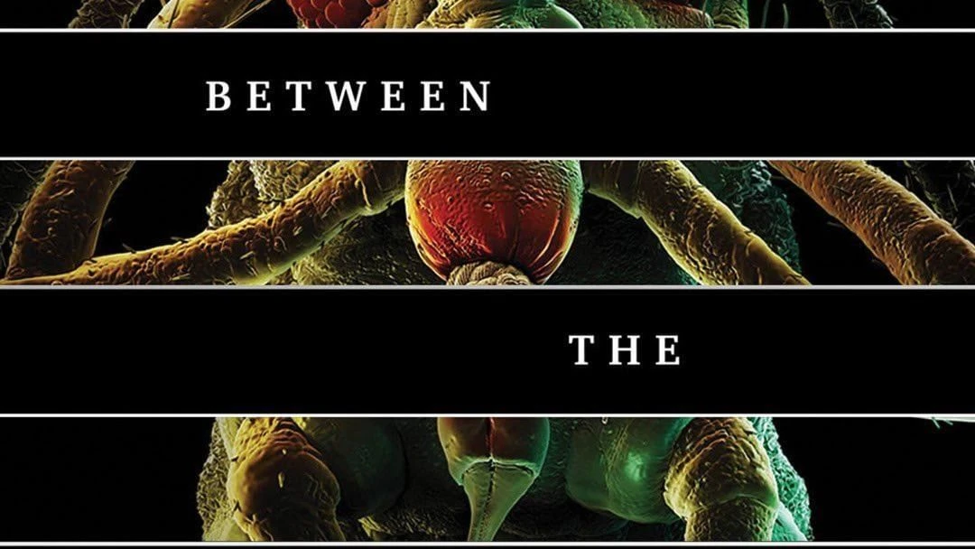 Microscopic view with layers of black bars creating division and text overlay that says, 'Between the'