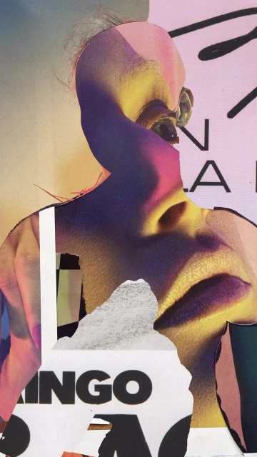 Collage portrait with layered images of a human face and body overlaid with abstract shapes and fragmented lettering elements.