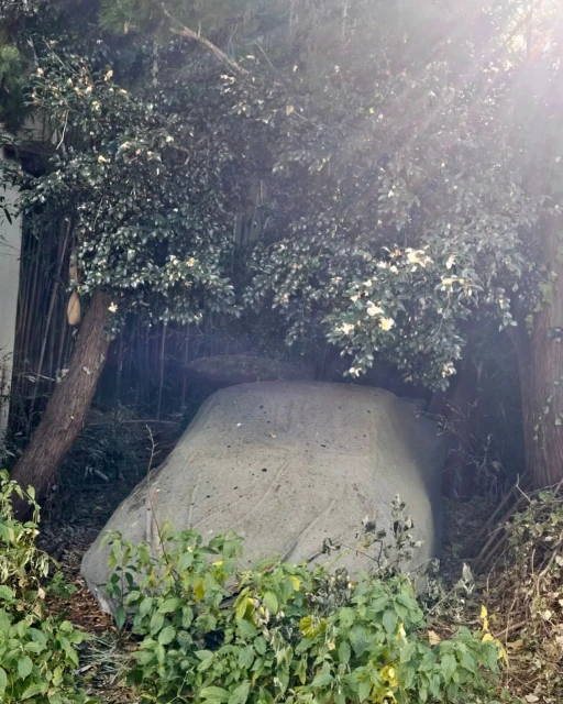 Large gray rock surrounded by green trees and foliage in an outdoor setting, showcasing natural textures and an overcast day.