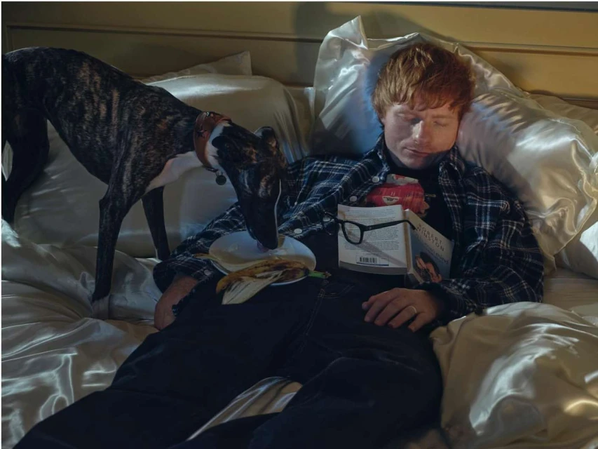 Red-haired man sleeping in bed next to a greyhound dog eating food from a plate on his stomach, pillows, duvet, indoor lighting.