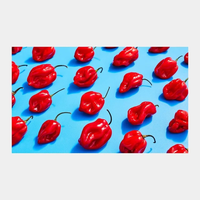 Overhead shot of a vivid blue surface covered with a pattern of fresh, bright red habanero peppers, creating a vibrant, textured food background.