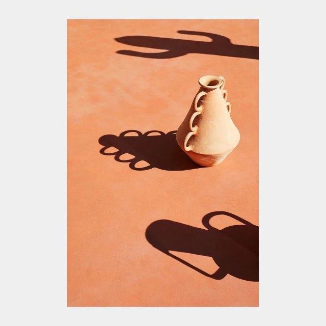 Minimalist studio shot of an earthenware vase against a terracotta surface casting shadows of the vase and a cactus plant.