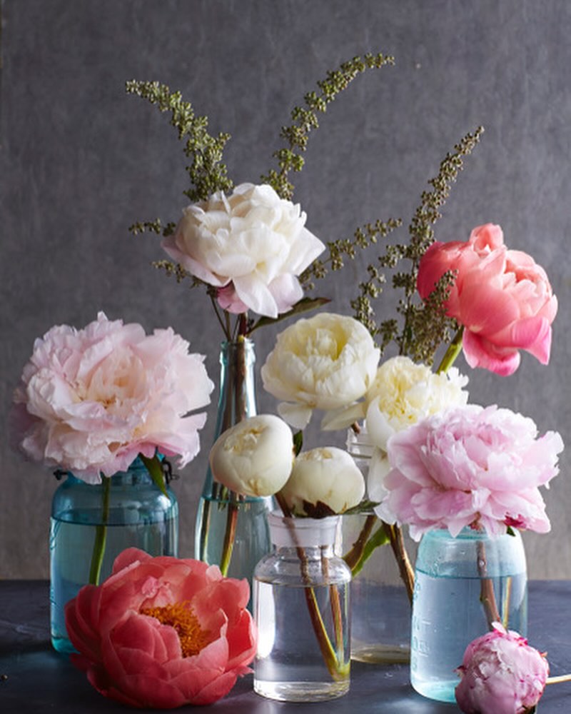 Vases filled with light pink, peach, and white peony flowers on a dark surface against a gray background in an indoor setting.