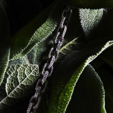 Silver chain necklace on large green leaves, shot in a dark environment. Fashion jewelry product shot with contrasting textures.