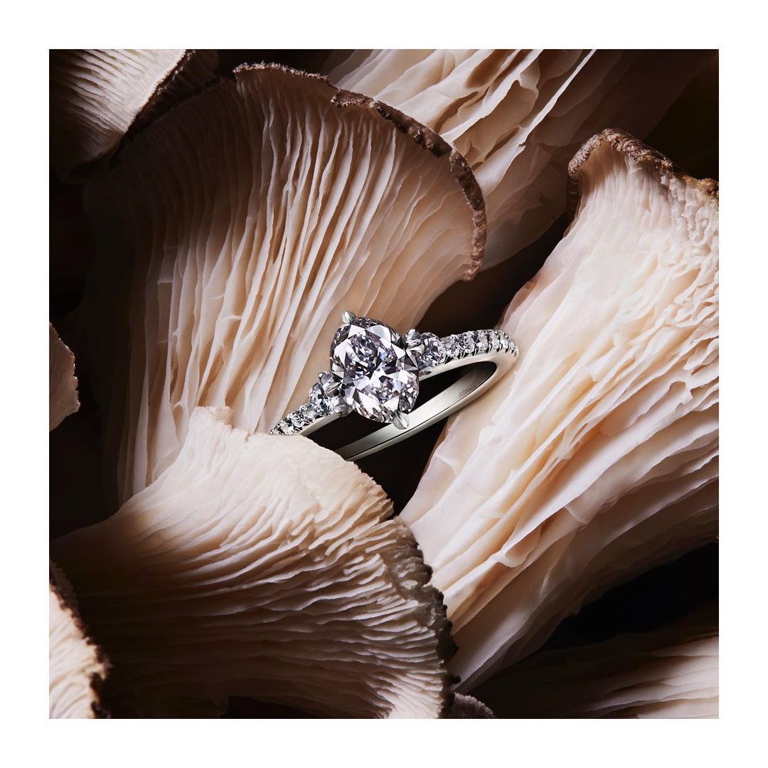 Close-up of a silver diamond ring set against a background of oyster mushroom frills, soft lighting, and neutral color palette.