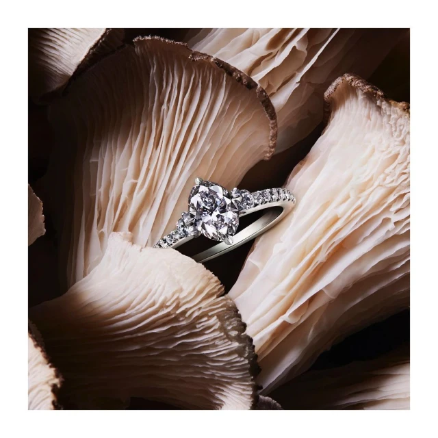 Close-up of a silver diamond ring set against a background of oyster mushroom frills, soft lighting, and neutral color palette.