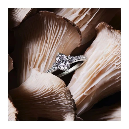 Close-up of a silver diamond ring set against a background of oyster mushroom frills, soft lighting, and neutral color palette.