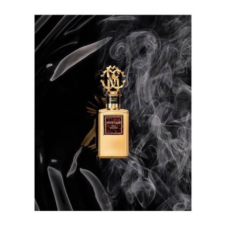 Gold Roberto Cavalli Wild Laces perfume bottle with elaborate gold topper on a black surface with smoke. Beauty and fragrance ad.