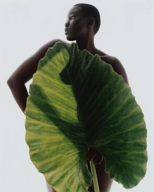 African female model poses indoors holding large green leaf in front of her body against white background in studio shot.