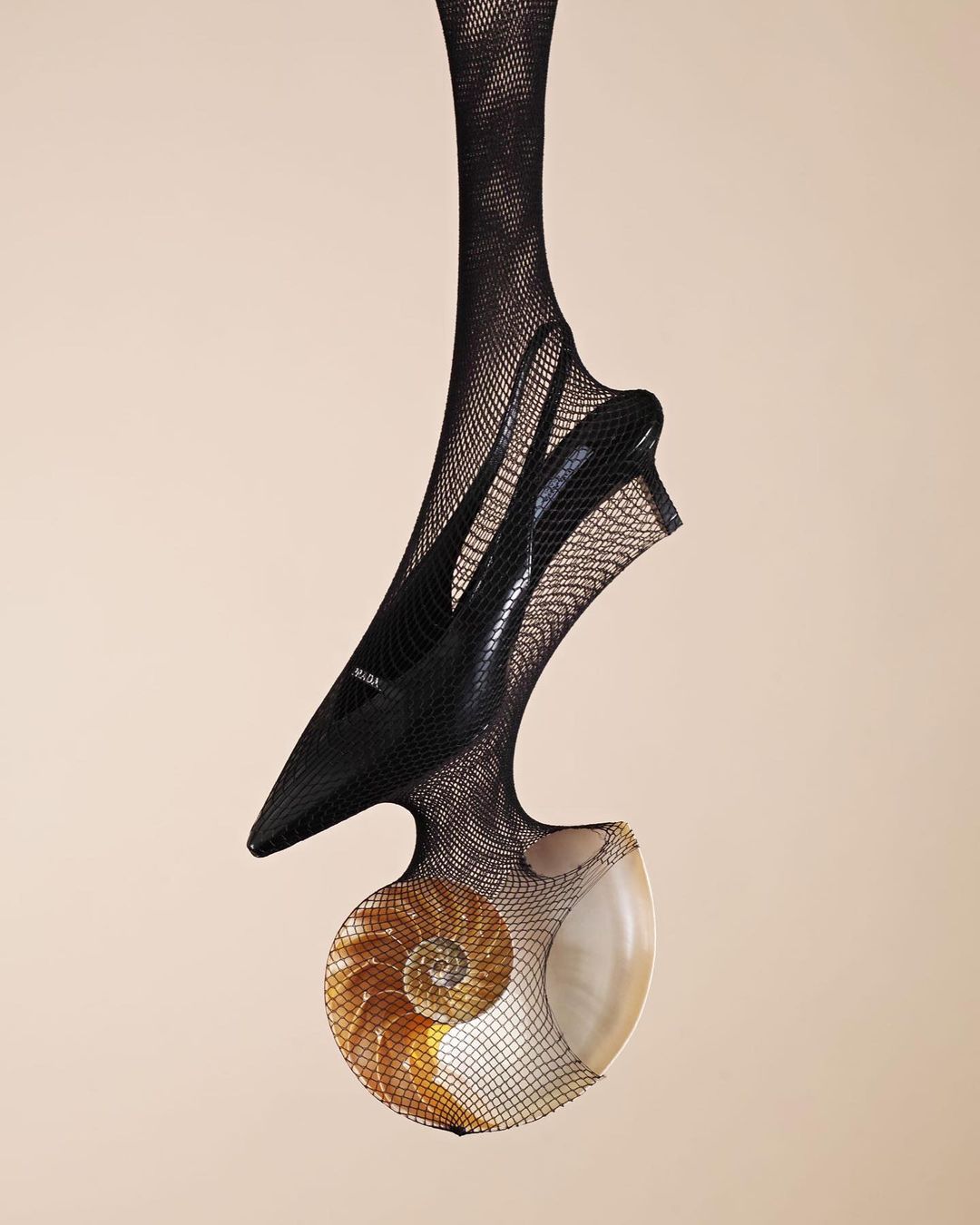 Dramatic high-angle still life of a black high-heeled shoe and a nautilus shell encased in black fishnet, set against a tan backdrop.