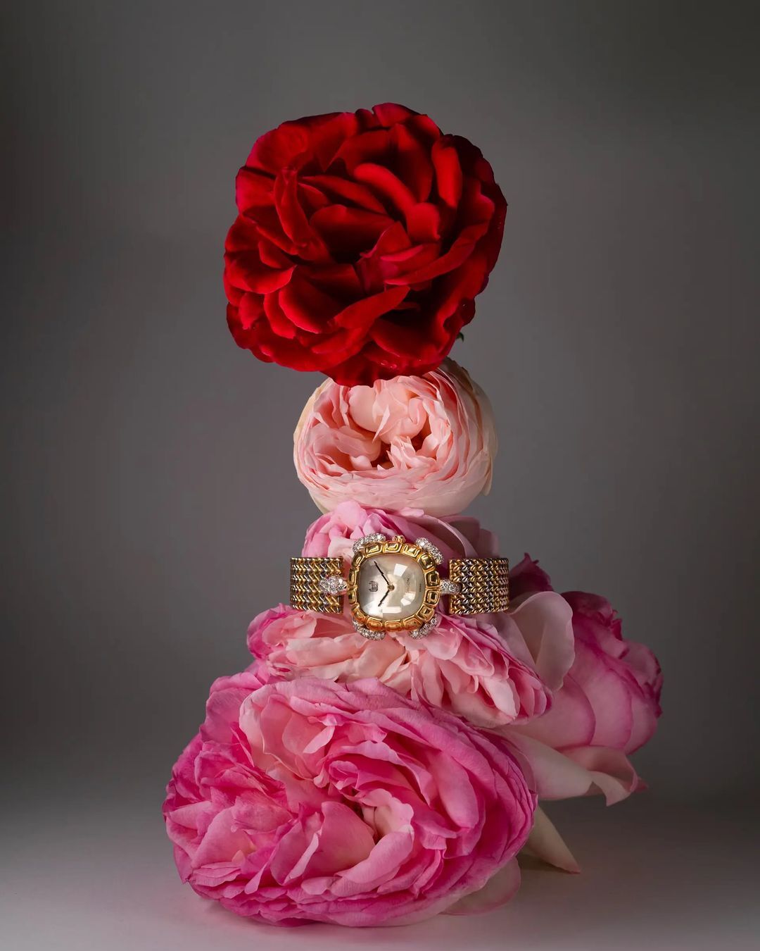 Gold wristwatch presented atop stacked pink and red roses against a neutral background in an indoor product photography setting.