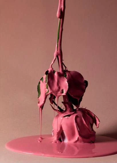 Still life of a rose covered in pink paint, creating a visually striking and artistic composition against a matching pink background.