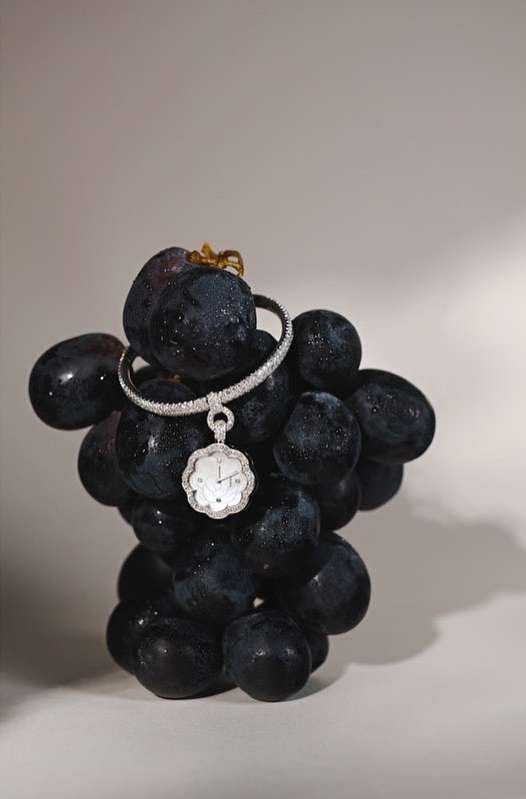 Elegant watch draped over a fresh bunch of black grapes, set against a soft, gradient background in a captivating jewellery still life.