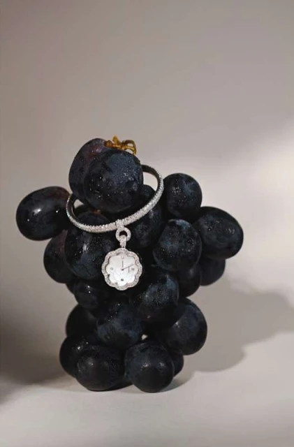 Elegant watch draped over a fresh bunch of black grapes, set against a soft, gradient background in a captivating jewellery still life.