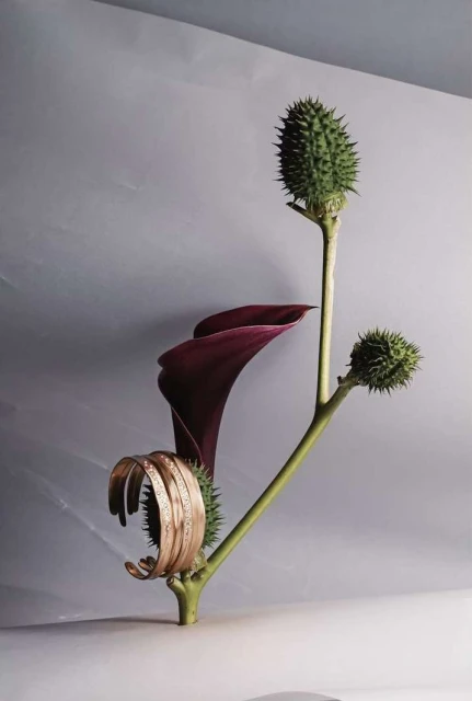 Botanical still life featuring a copper-toned bracelet displayed alongside a dark purple calla lily and spiky green datura seed pods.