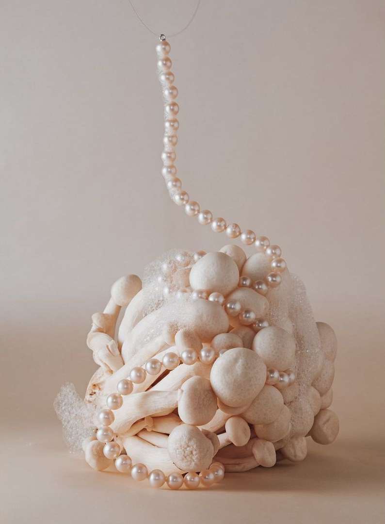 Still life of white oyster mushrooms adorned with pearl necklaces and artificial snow, set against a plain off-white background.