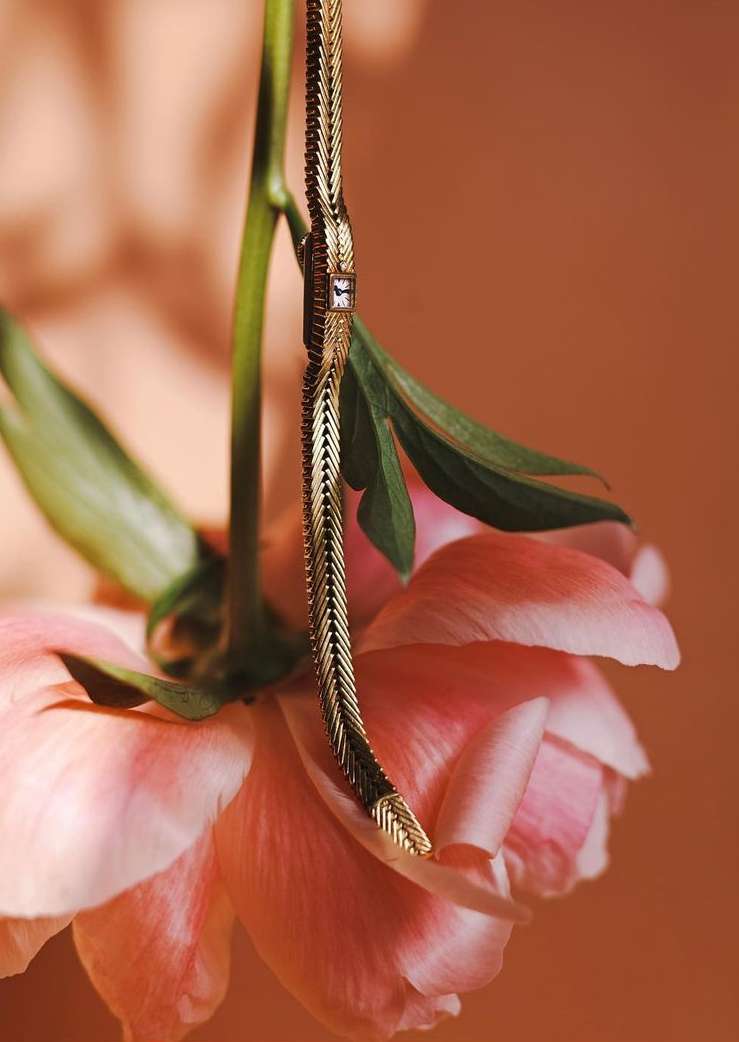 Close-up of a gold-toned necklace draped over a pink flower, against a soft peach background in a beauty fashion style.