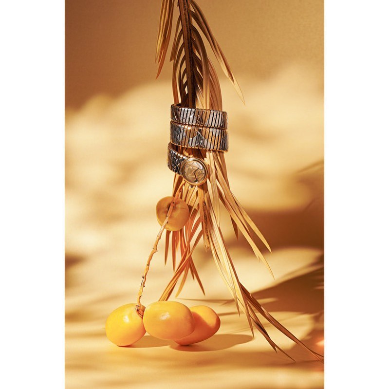 Luxury still life featuring a gold watch on a palm frond, next to dates in studio light casting palm frond shadows on a gold background.